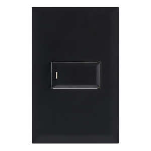 ESW251 AND ESW251/2 BLACK