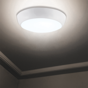 Emergency Ceiling Fittings