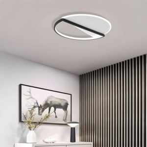 LED Ceiling Fittings