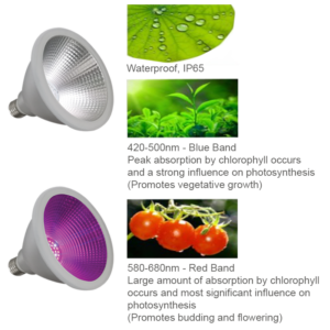 Grow Lighting